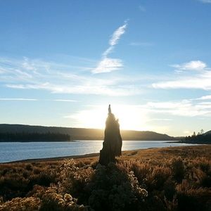 Meet your Posher, Katarina